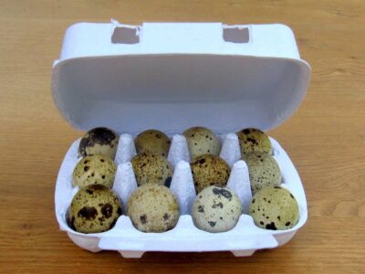 Inner Box of Cobh Quail Eggs